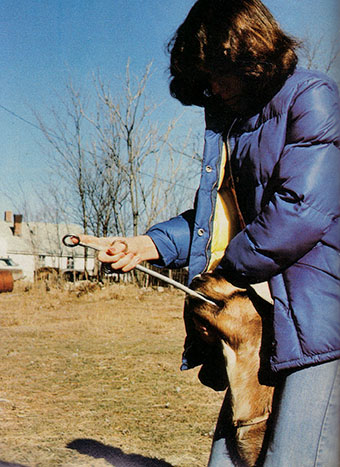 Administering animal medicine might involve the use of a bolus gun.